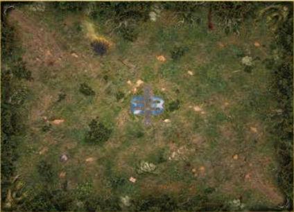 Mage Wars Arena Playmat: Straywood