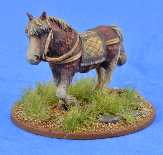 Riding Pony