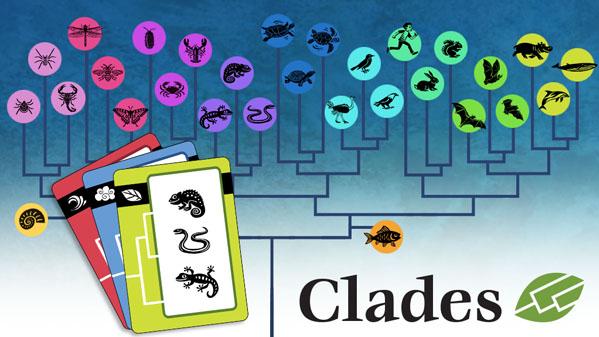 Clades
