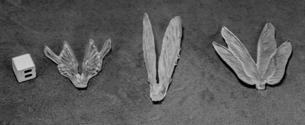 Dark Heaven Bones: Clear Wings (3)
