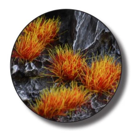 Gamer's Grass Alien Fire Tuft 6mm