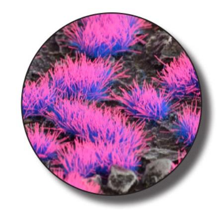 Gamer's Grass Alien Neon Tuft 4mm