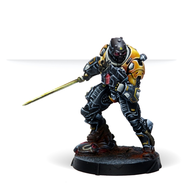 Infinity (#796) Húláng Shocktroopers (Combi Rifle + Light FT)