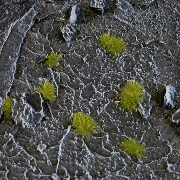 Gamer's Grass: Tiny Tufts - Dry Green