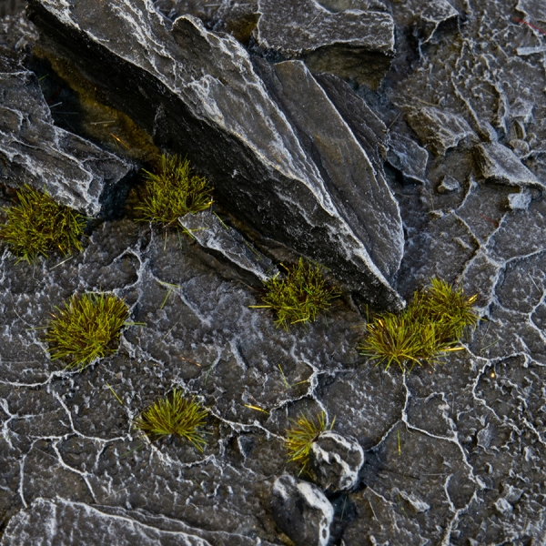 Gamer's Grass: Tiny Tufts - Dark Moss