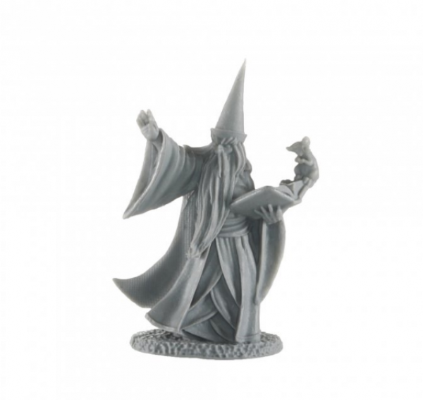 Reaper Bones: Darius the Wizard