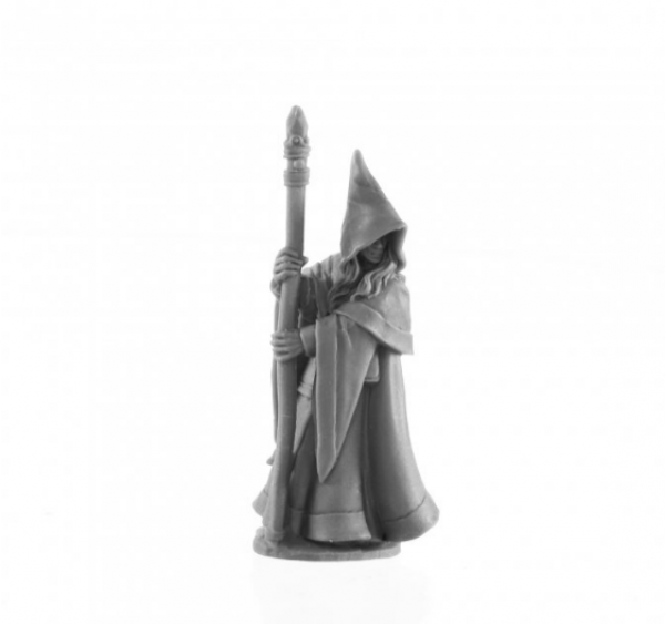 Reaper Bones: Anirion, Elf Wizard