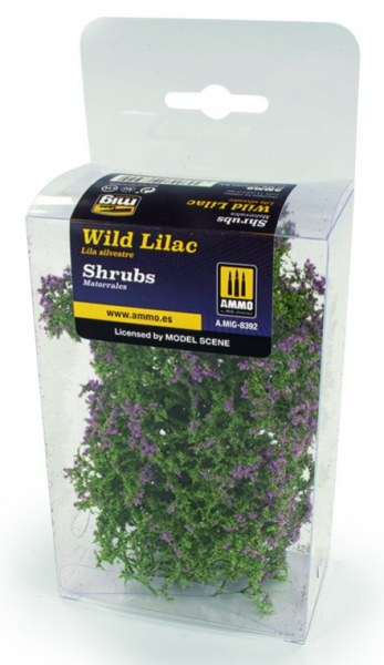 AMMO: Shrubs – Wild Lilac