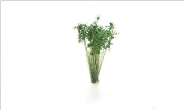 Woodland Scenics: All Game Terrain Peel ‘n’ Plant Tufts - Dark Green Shrubs Tufts
