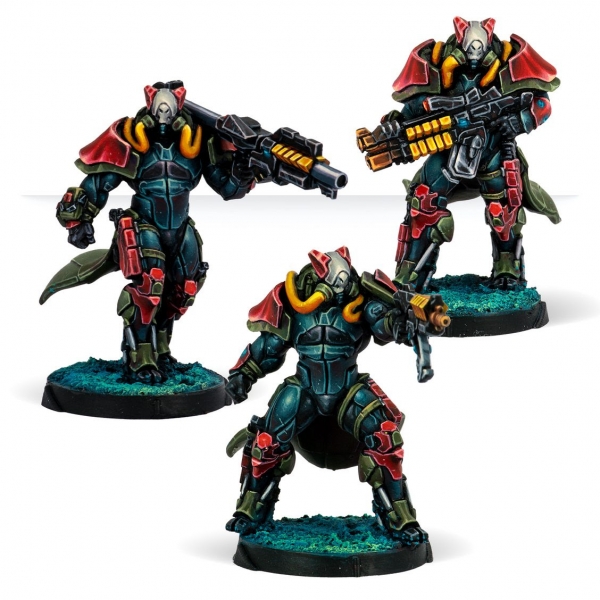 Infinity (#1005): Rodoks, Armed Imposition Detachment