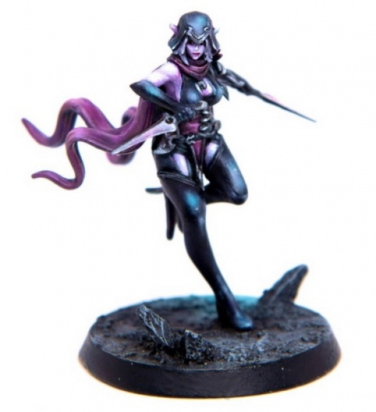 Eldfall Chronicles: Single Model - Nightshade