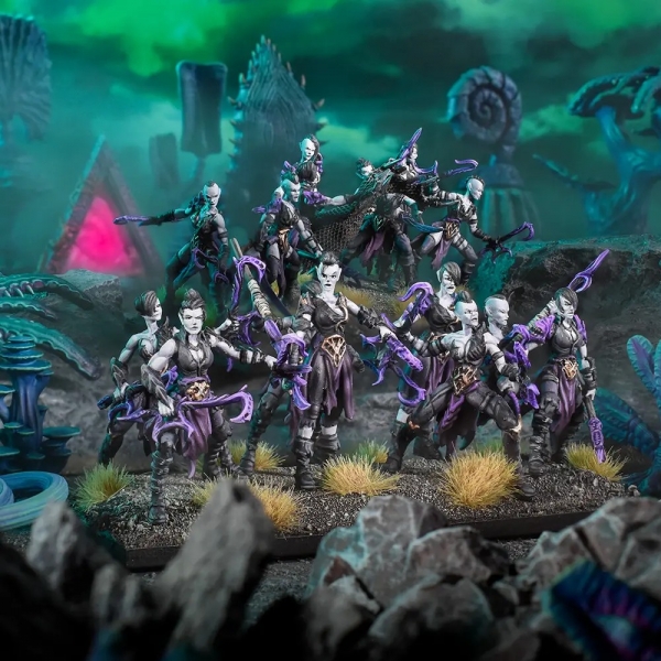 Twilight Kin Corsair Voidwalkers / Fleetwardens Regiment