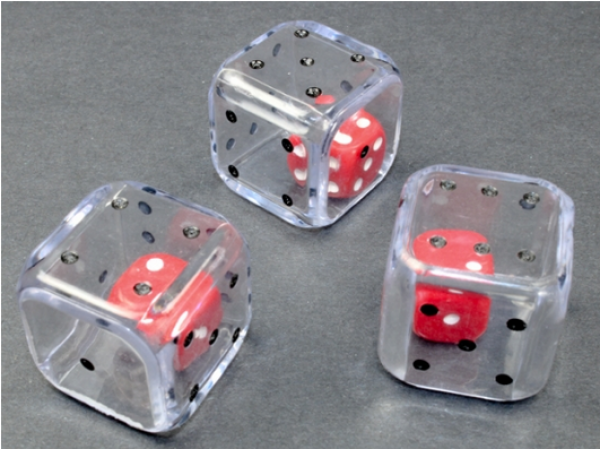 25mm d6 Double Dice Clear/black (1)