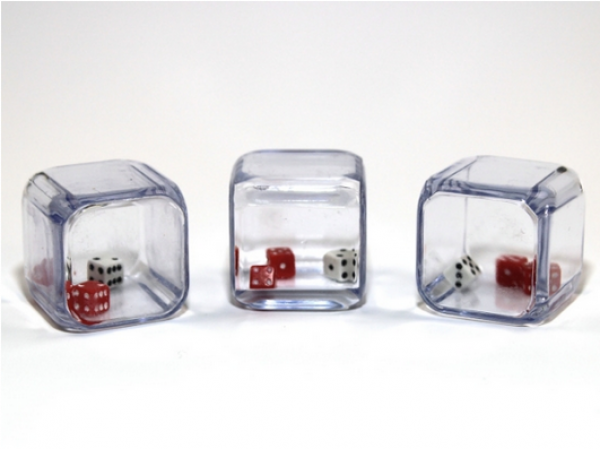 2 Red & 1 White 5mm d6 in a 25mm cube (1)