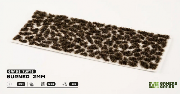 Gamer's Grass: Burned 2mm (2024)