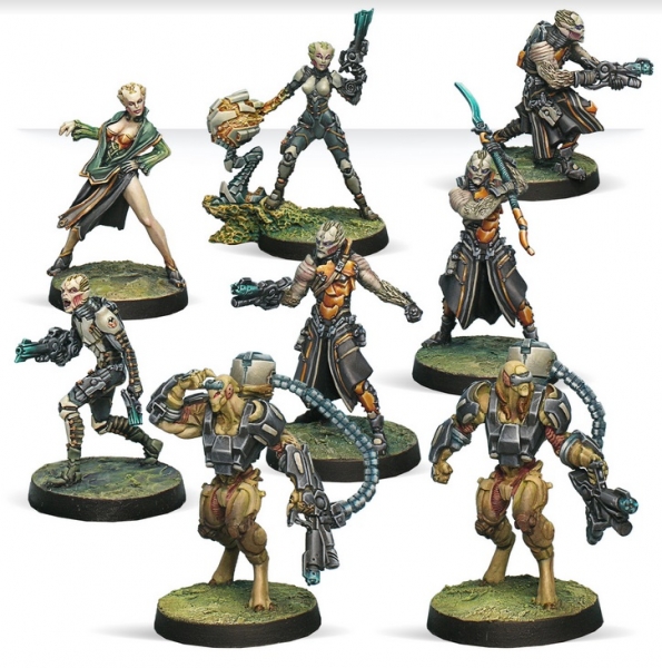 Infinity (#1116) Tohaa Combat Force Special Release Pack Alpha (LIMITED)