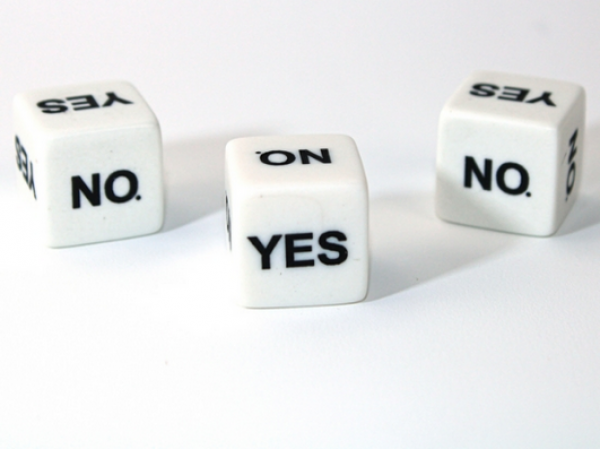 Chessex: Yes/No d6 - White