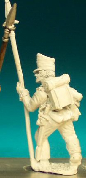 Front Rank Miniatures: BN47 NCO - Belgic Shako - Sergeant Advancing. Covered Shako (6 figures)