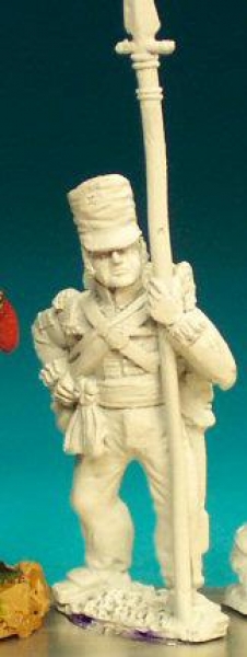 Front Rank Miniatures: BN49 NCO - Belgic Shako - Sergeant Standing. Covered Shako (6 figures)