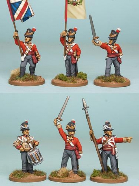Front Rank Miniatures: BNRPK15 Mixed British Command In Belgic Shako, Standing (Firing Line) (6 Figu