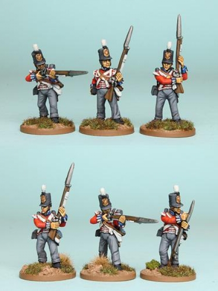 Front Rank Miniatures: BNRPK20 Mixed British Grenadier Company In Stovepipe Shako, Firing Line (6 Fi