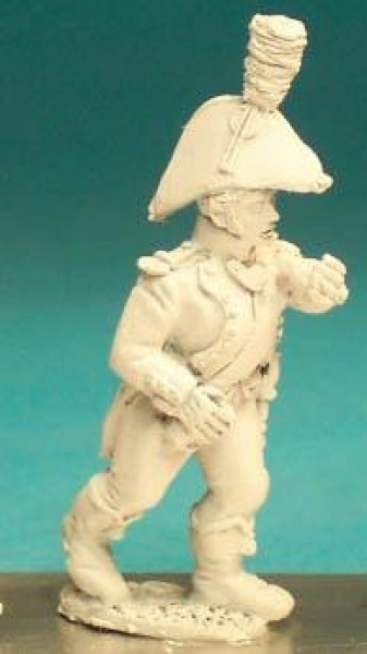 Front Rank Miniatures: DWN22 Standard Bearer In Bicorn - Duchy Of Warsaw - Standard Bearer (6 figure