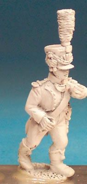 Front Rank Miniatures: DWN42 Standard Bearer In Shako - Vistula Legion - Standard Bearer (6 figures)