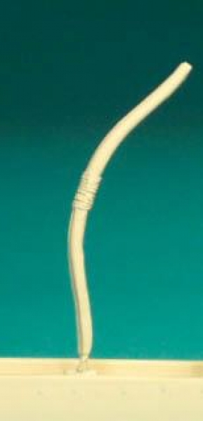 Front Rank Miniatures: EQ67 Longbows [8 Per Pack]
