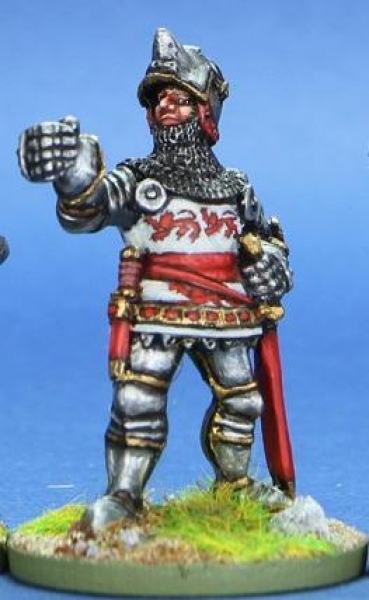 Front Rank Miniatures: HW104 Standard Bearer - Jupon & Houndskull, Visor Up (6 figures)