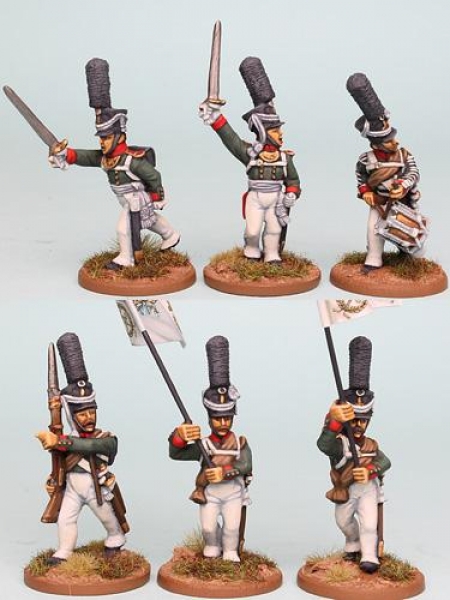 Front Rank Miniatures: RNRPK8 Mixed Russian Grenadier / Carabinier Command In 1809 Shako With Busch 