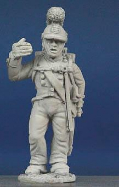 Front Rank Miniatures: WN29 Wurttemberg Line Infantryman 1811 To 1812 - Standard Bearer, Standing (6