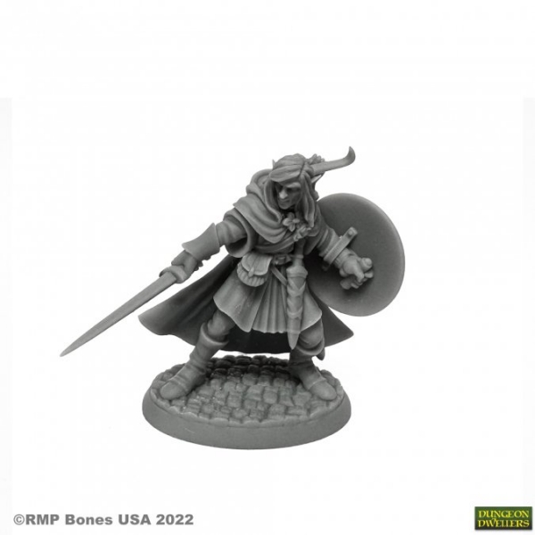 Bones USA Dungeon Dwellers: Mellonir Windrunner, Elf Warrior