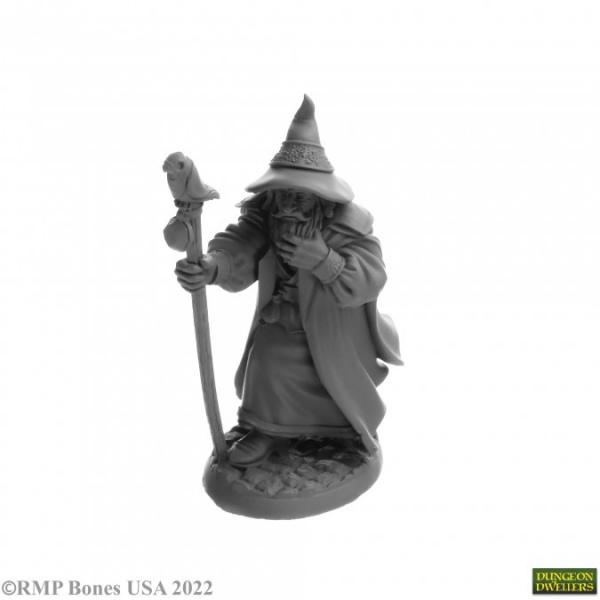 Bones USA Dungeon Dwellers: Landol Griwsold, Human Wizard