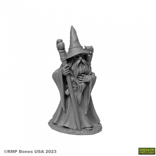 Bones USA Dungeon Dwellers: Anuminar Winterbeard, Wizard