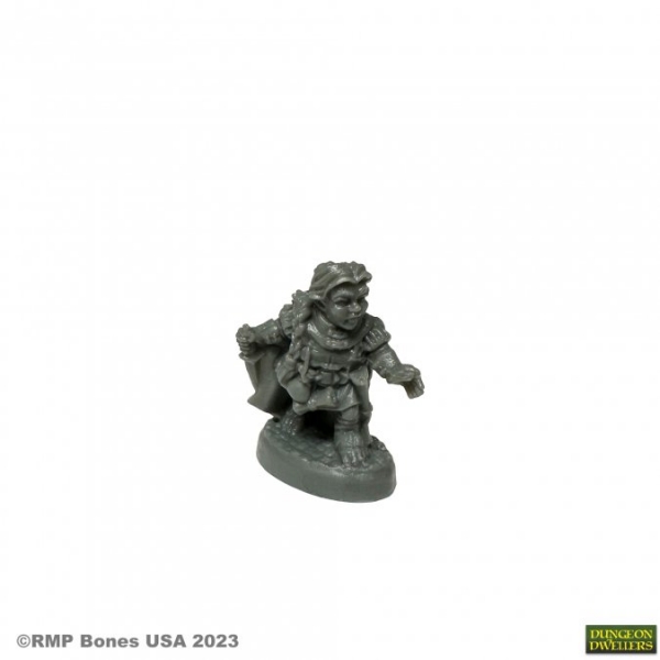 Bones USA Dungeon Dwellers: Molly Copperpot, Thief