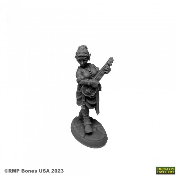 Bones USA Dungeon Dwellers: Ryelle Rainheather, Elf Bard