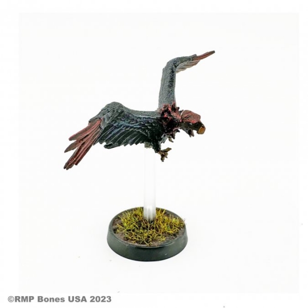 Bones USA Dungeon Dwellers: Gallowhawk