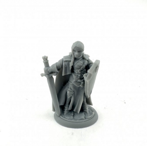 Bones USA Dungeon Dwellers: Isabeau Laroche, Female Paladin