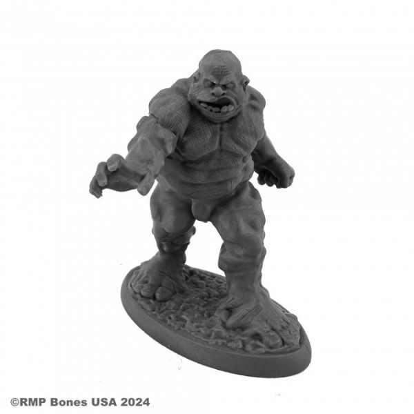 Bones USA Dungeon Dwellers: Clay Golem #2