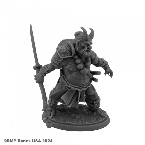 Bones USA Dungeon Dwellers: Ogre Magi
