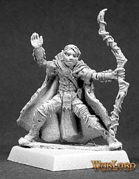 Warlord: Elf Ranger