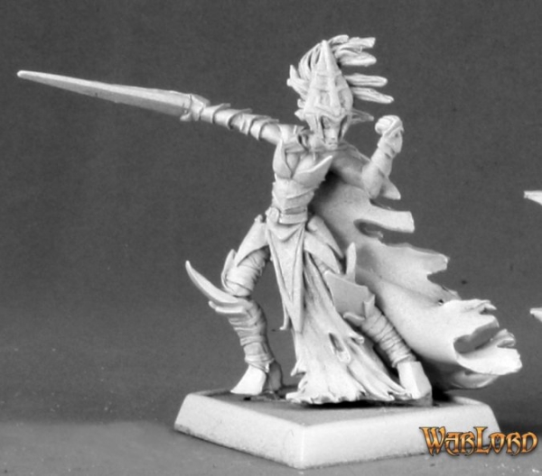 Warlord: Shadowstep Warrior