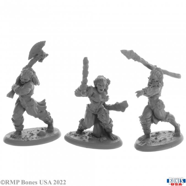 Bones USA Reaper Legends: Jade Fire Warriors (3)