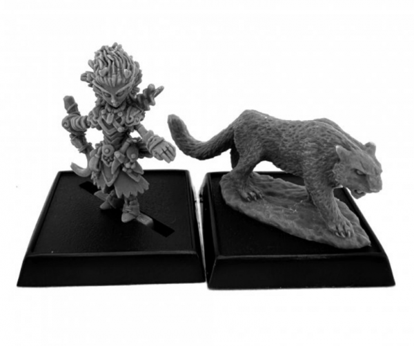Reaper Miniatures: Lini and Droogami, Iconic Gnome Druid (2e)