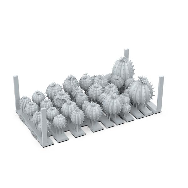 AK-Interactive: Basing Bits Cactus Barrel