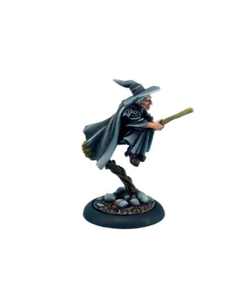 28mm Discworld Miniatures: Discworld Esme on Broom (1)