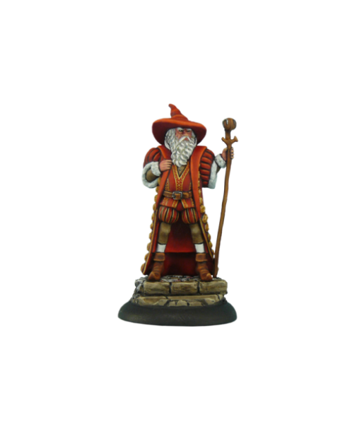 28mm Discworld Miniatures: Discworld Senior Wrangler (1)