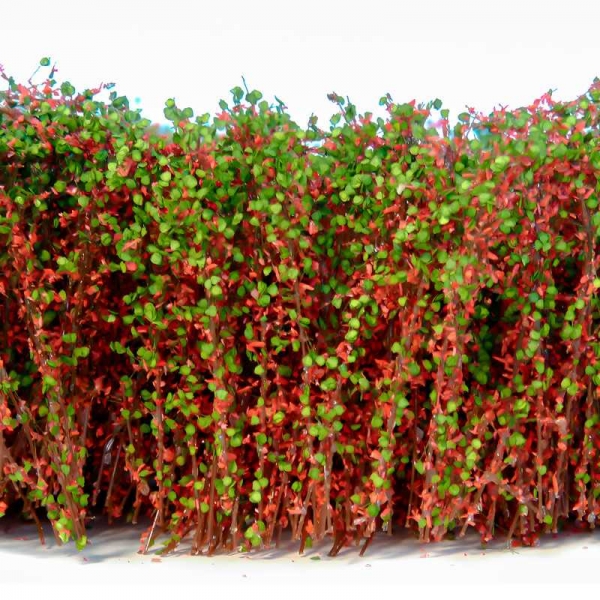 Green Stuff World: Tall Shrubbery - Red Green