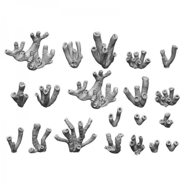 Green Stuff World: Corals 1:48
