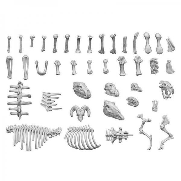 Green Stuff World: Animal Bones 1:48